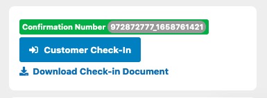 Vik Rent Car - Check-in PDF