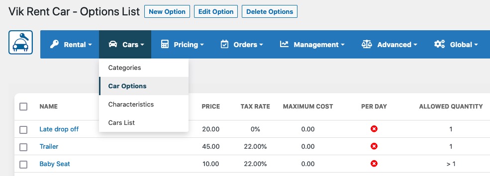Vik Rent Car - Car Options