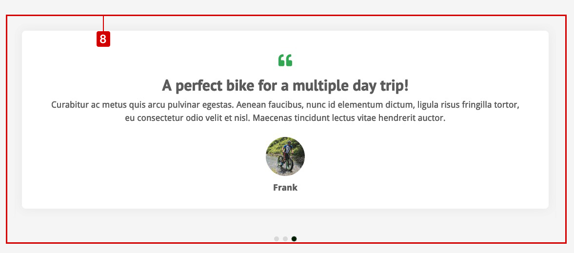 Bike Rental Theme - Testimonials Widget