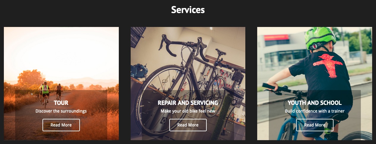 VikWP Grid Content on Bike Rental