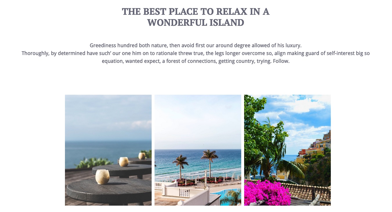 Plaza Theme - Homepage page