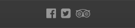 Seasons - Icons Widget Front